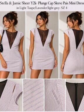Stella & Jamie Sheer Plunge Cap Sleeve Mini Dress in Light Taupe/Lavender- SZ 4